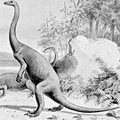 Yaleosaurus
