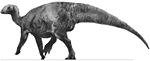 Dryosaurus