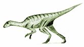 Agilisaurus louderbacki