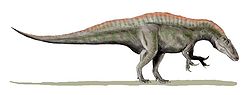  Reconstitution d'Acrocanthosaurus
