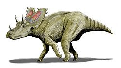  Agujaceratops mariscalensis