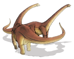  Titanosauridae