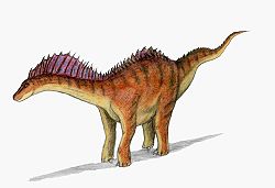  Reconstitution de Amargasaurus cazaui
