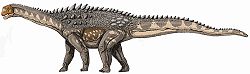  Le Titanosauridae Ampelosaurus