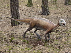  Atlascopcosaurus loadsi (reconstitution)