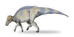  Brachylophosaurus canadensis