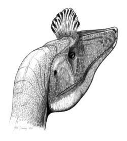  Reconstitution d'un Cryolophosaurus ellioti