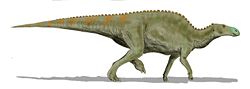 Reconstitution d'Edmontosaurus.