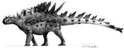  Huayangosaurus