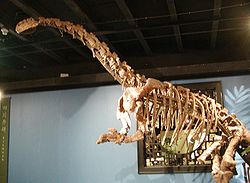  Jiangshanosaurus lixianensis