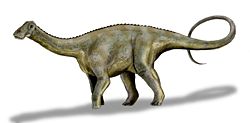  Nigersaurus taqueti