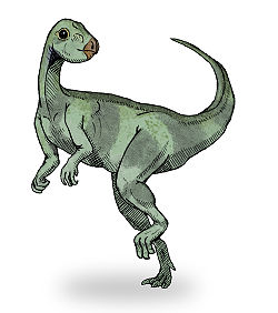 Qantassaurus