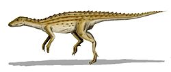  Scutellosaurus