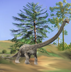 Modelage 3D du Seismosaurus