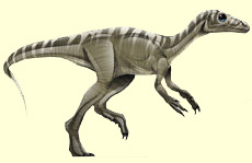  Eoraptor